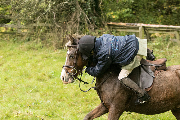 Thornton Moor044