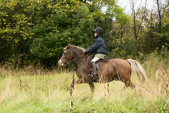 Thornton Moor026
