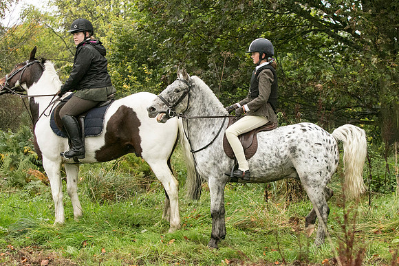 Thornton Moor038