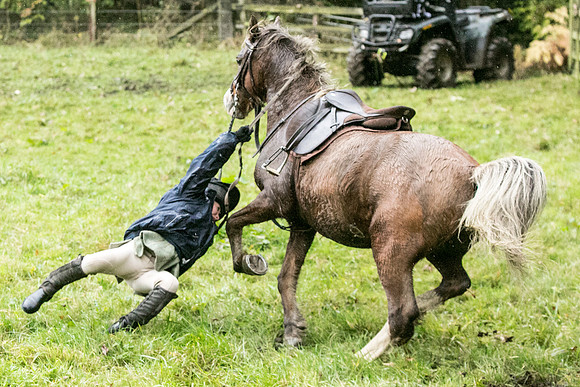 Thornton Moor048