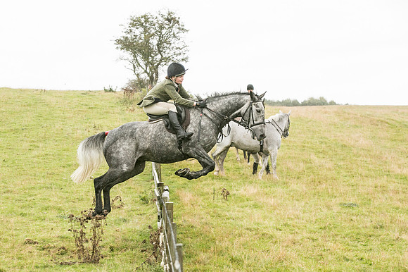 Thornton Moor098
