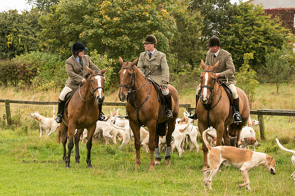 Thornton Moor002