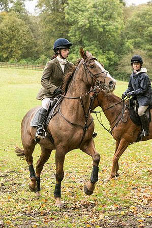 Thornton Moor063