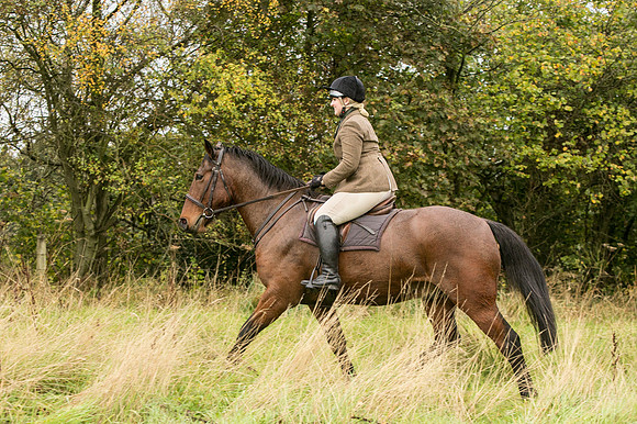 Thornton Moor028