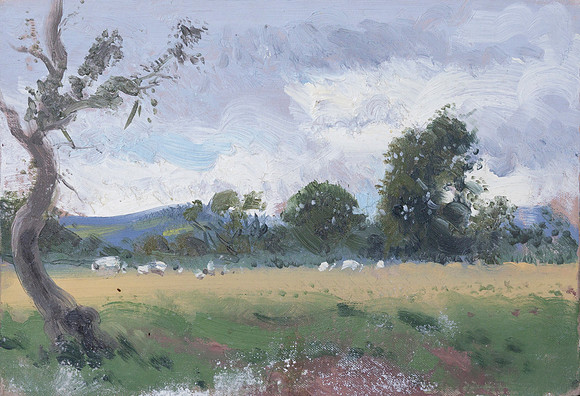 84.A view of sheep near the Strother