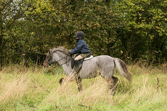 Thornton Moor027