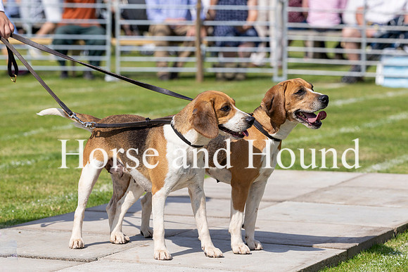 Rydale015 Best Couple Cumbria Dzaael and Bluebell
