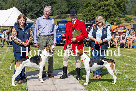 Rydale019.a Winning Couple of Foxhounds Blencathera Scarlett and Satin with Diane Todhunter, Miles Walker Barry Todhunter and Diane Tod