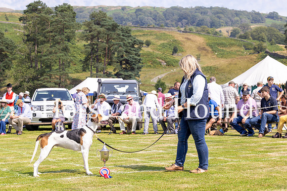 Rydale040 Gillian Tod and Blencathera Scarlott Rydale Show Champion Foxhound