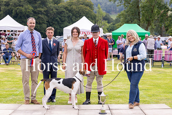 Rydale041 Daniel Anderson Puppy Walker ,judgesWillam Bryer & Holly Wyberg with Barry and Diane Todhunter and Foxhound Champion Blencathera Scarlet