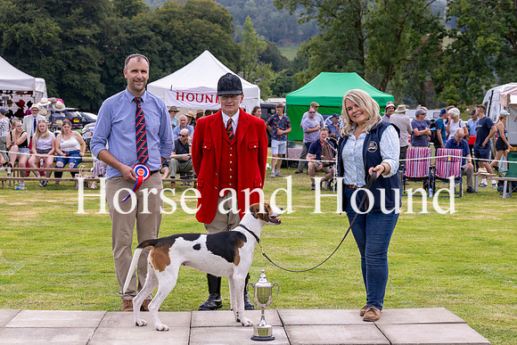 Rydale042 Daniel Anderson (Puppy Walker) barry Todhunter MFH and Diane Todd with Champion Hound Blencathea Scarlet
