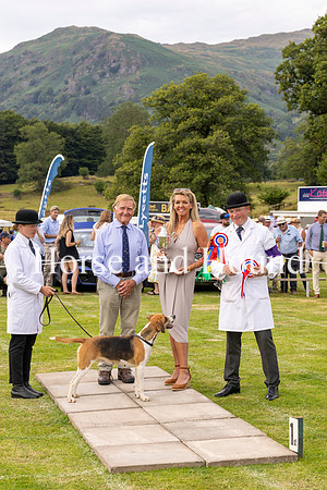 Rydale043 Sue Simmons Senior Master of the Holcombe Harriers with the Supreme Champion Trophy won by Holcombe Anglezarke