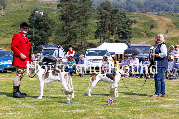 Rydale039.jpg Ulswater Saxon best of opposite sex to Champion with John Weller MFH and Blencathera Scarlott Champion Foxhound with Gillian Todd