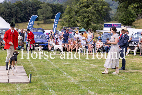 Rydale052 Jed Porter 21yrs old huntsman, and a North Lonsdale Hound being judged by Holly Wyberg and William Bryer