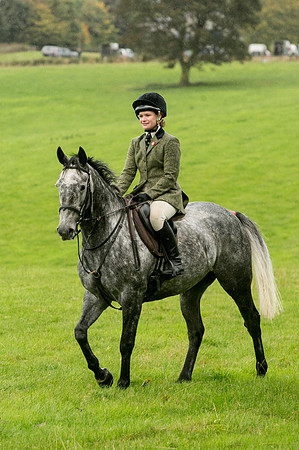 Thornton Moor021