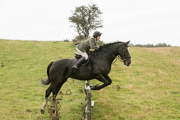 Thornton Moor092