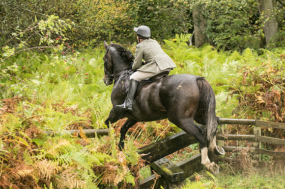 Thornton Moor053