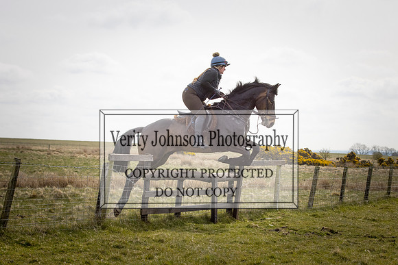 Todridge0033
