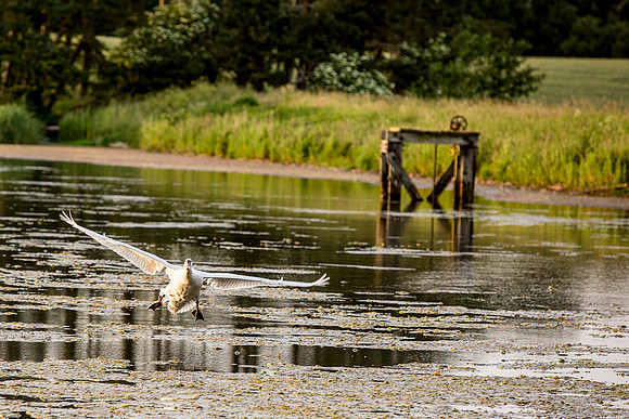 Boathouse Angerton0027
