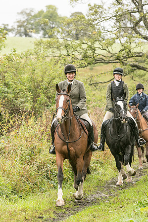 Thornton Moor078