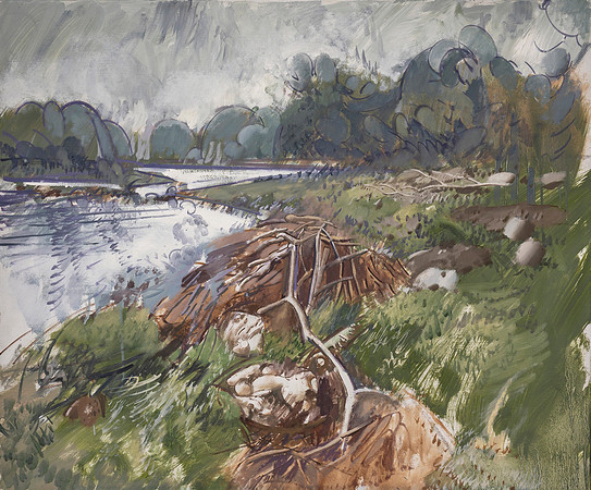 61.The North Tyne below Barrasford
