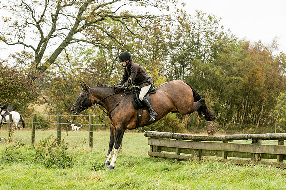Thornton Moor131