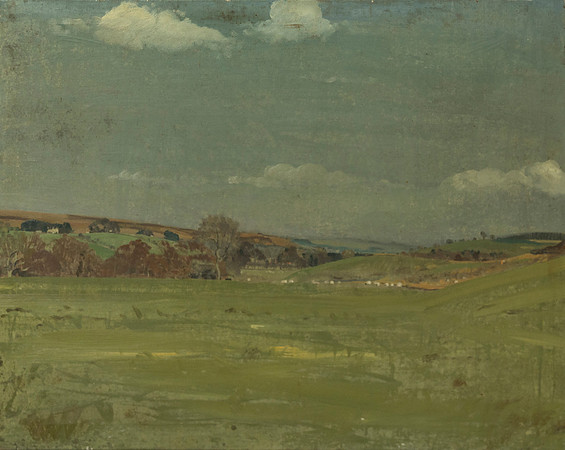 21.View from Snabdough Farm, Tarset