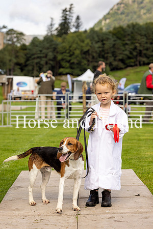 0004. Blackcombe Tyson wins the Unentered Beagles with Grace Cummings 2yrs Old