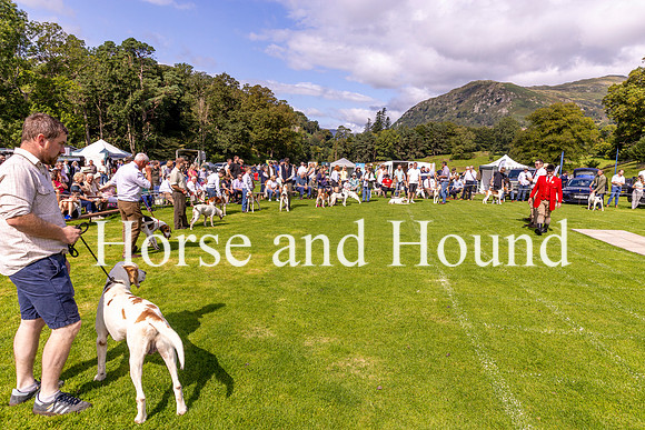 0012 John Weller Ullswater judges the Show of Coniston Foxhounds