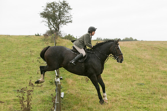 Thornton Moor093