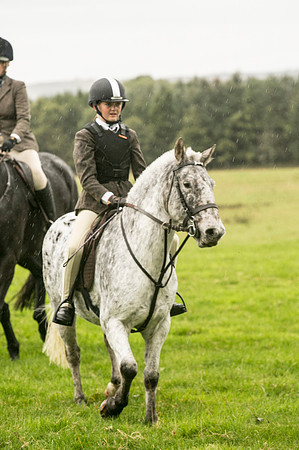 Thornton Moor020