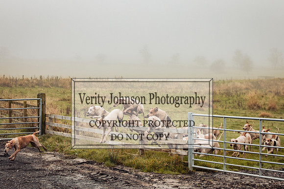 Toft Hall farm0035