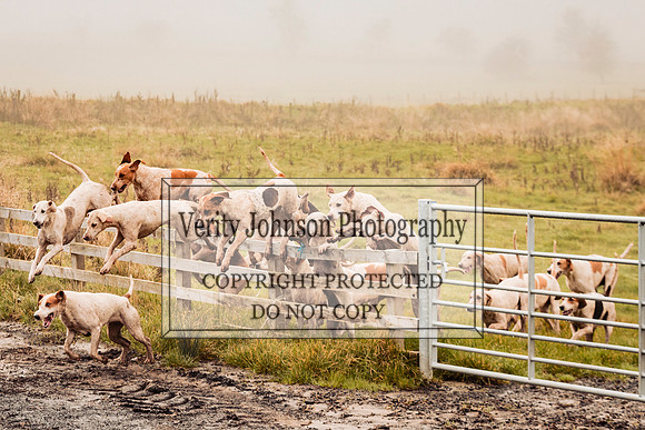 Toft Hall farm0036