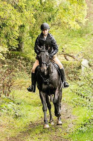 Thornton Moor072