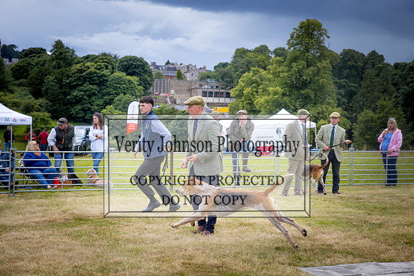0037
