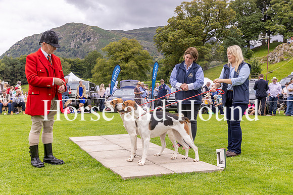 0018. Blencathera Scarlett and Satin win the Couple of Foxhounds with Barry Todhunter MFH and Diane Todhunter -Robinson and Gillian Todd