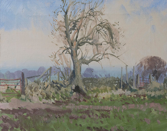 111.Ash tree, Fawcett