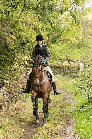 Thornton Moor073