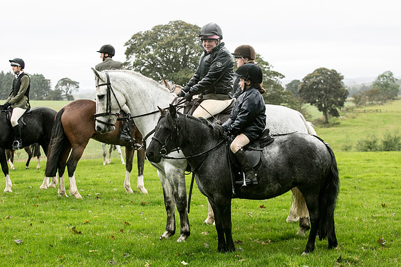 Thornton Moor017
