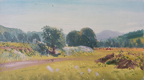 15.View near the River Tay