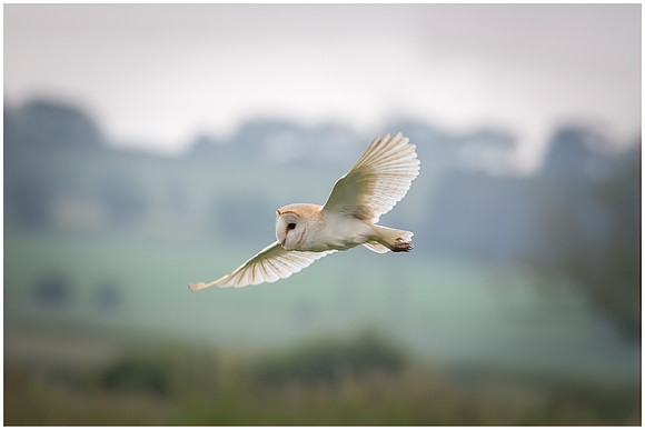 Verity Johnson Photography0008