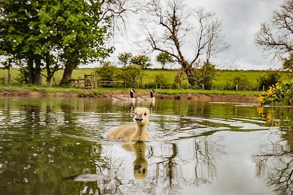 Verity Johnson Photography0017