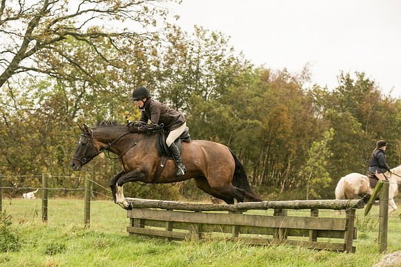 Thornton Moor130