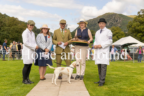 0013. Blackcombe Bellman wins the Stallion Beagle with Rebecca Cummings, Lucy Wray (Judge), Mathew Higgs(Judge) Jo Roberts Master of Hunsley Beacon Beagles and Michael Cummings (Huntsman)