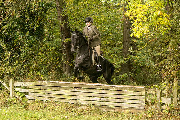 Thornton Moor051