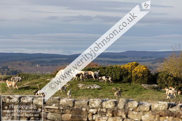 New Deanham0032