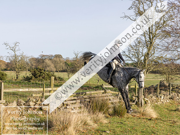 New Deanham0015