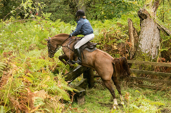 Thornton Moor056