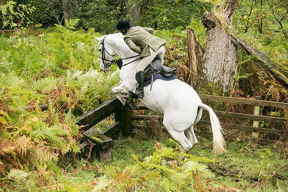 Thornton Moor055