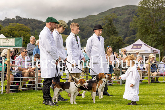0003. Two year old Grace Cummings with Blackombe Beagles, Sam Winter (Whip) Rebecca Cummings (Secretary) Olly Johnson, Michael Cummings Huntsman